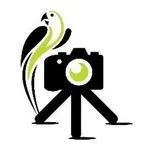 Camera Jungle discount code